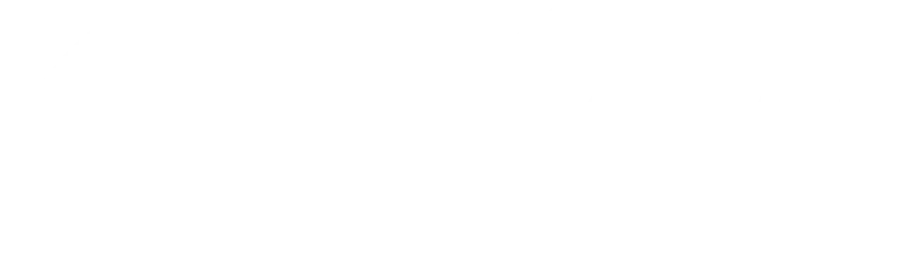 Casiny Casino logo